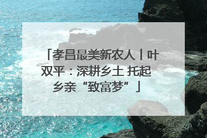 孝昌最美新农人丨叶双平：深耕乡土 托起乡亲“致富梦”
