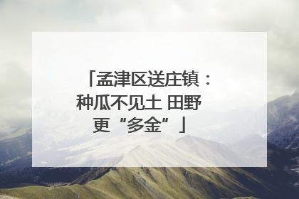 孟津区送庄镇：种瓜不见土 田野更“多金”