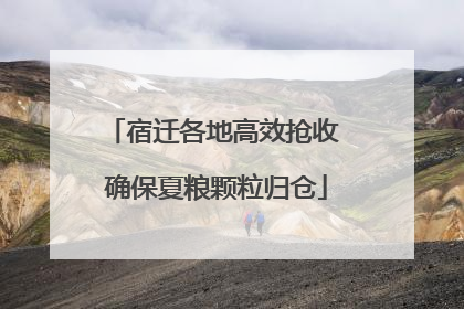 宿迁各地高效抢收 确保夏粮颗粒归仓