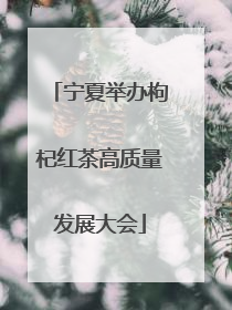 宁夏举办枸杞红茶高质量发展大会