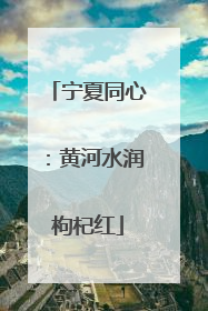 宁夏同心：黄河水润枸杞红