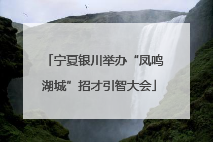 宁夏银川举办“凤鸣湖城”招才引智大会
