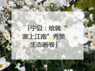 宁夏：绘就“塞上江南”秀美生态画卷