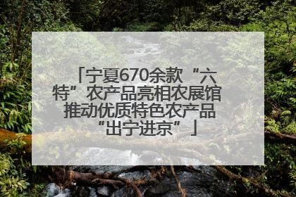 宁夏670余款“六特”农产品亮相农展馆 推动优质特色农产品“出宁进京”