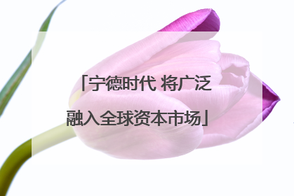 宁德时代 将广泛融入全球资本市场