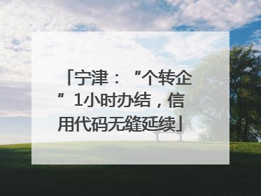 宁津：“个转企”1小时办结，信用代码无缝延续
