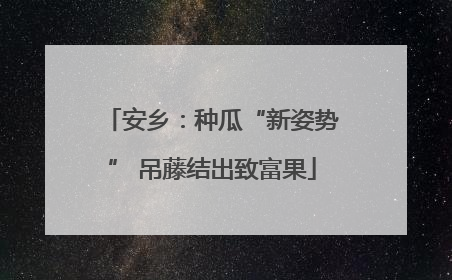 安乡：种瓜“新姿势” 吊藤结出致富果