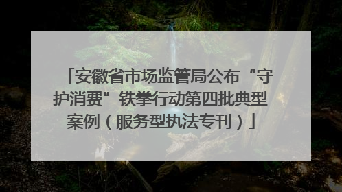 安徽省市场监管局公布“守护消费”铁拳行动第四批典型案例（服务型执法专刊）