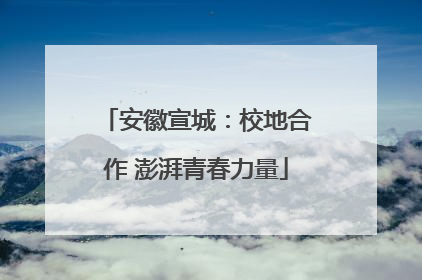 安徽宣城：校地合作 澎湃青春力量