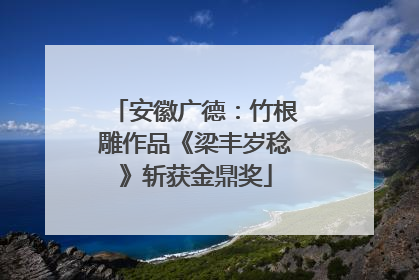 安徽广德：竹根雕作品《梁丰岁稔》斩获金鼎奖