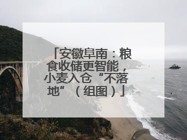 安徽阜南：粮食收储更智能，小麦入仓“不落地”（组图）