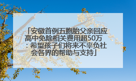 安徽首例五胞胎父亲回应高中免除相关费用超50万：希望孩子们将来不辜负社会各界的帮助与支持