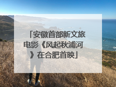 安徽首部新文旅电影《风起秋浦河》在合肥首映
