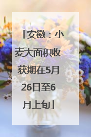 安徽：小麦大面积收获期在5月26日至6月上旬