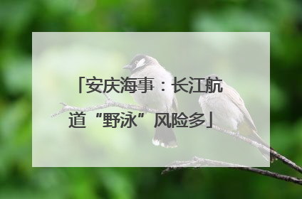 安庆海事：长江航道“野泳”风险多