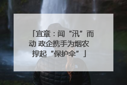 宜章：闻“汛”而动 政企携手为烟农撑起“保护伞”