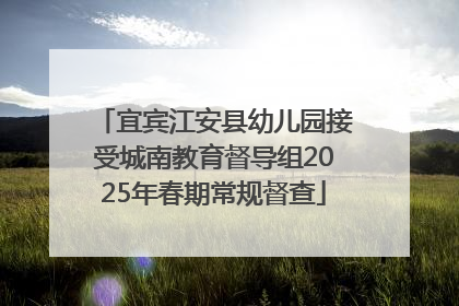 宜宾江安县幼儿园接受城南教育督导组2025年春期常规督查
