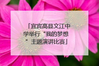 宜宾高县文江中学举行“我的梦想”主题演讲比赛