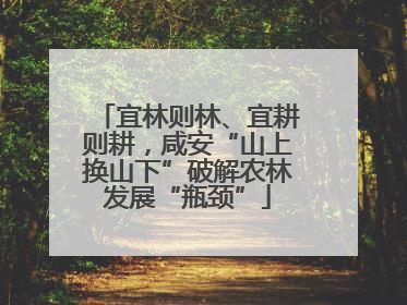 宜林则林、宜耕则耕，咸安“山上换山下”破解农林发展“瓶颈”