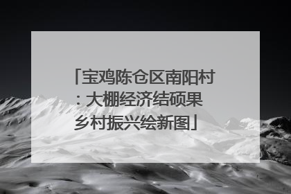 宝鸡陈仓区南阳村：大棚经济结硕果 乡村振兴绘新图