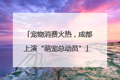 宠物消费火热，成都上演“萌宠总动员”