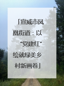宣威市凤凰街道：以“党建红”绘就绿美乡村新画卷