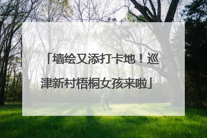 墙绘又添打卡地！巡津新村梧桐女孩来啦
