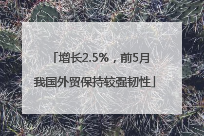 增长2.5%，前5月我国外贸保持较强韧性