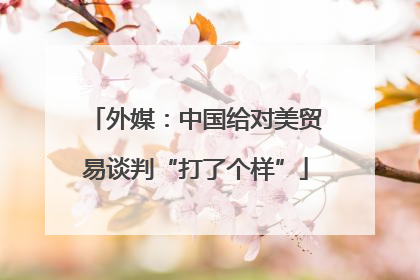 外媒：中国给对美贸易谈判“打了个样”