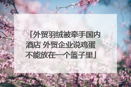 外贸羽绒被牵手国内酒店 外贸企业说鸡蛋不能放在一个篮子里