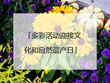 多彩活动迎接文化和自然遗产日