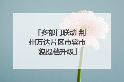 多部门联动 荆州万达片区市容市貌提档升级
