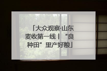 大众观察·山东麦收第一线丨“良种田”里产好粮