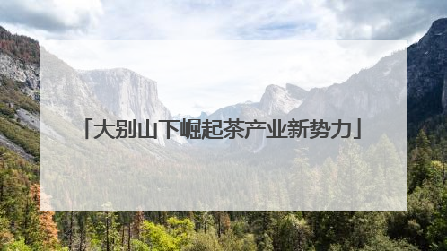 大别山下崛起茶产业新势力
