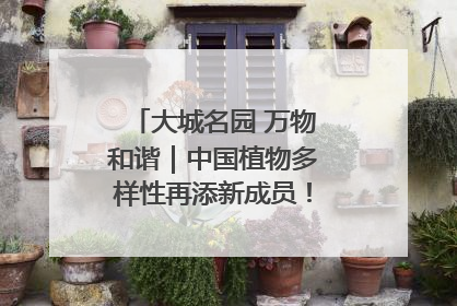 大城名园 万物和谐｜中国植物多样性再添新成员！它只在西藏墨脱