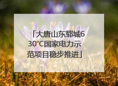大唐山东郓城630℃国家电力示范项目稳步推进