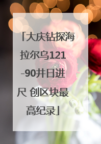 大庆钻探海拉尔乌121-90井日进尺 创区块最高纪录