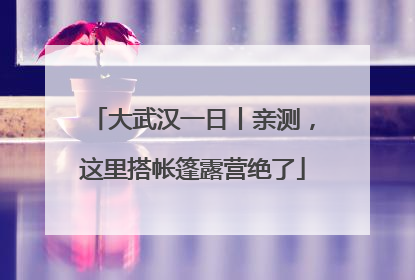 大武汉一日丨亲测，这里搭帐篷露营绝了