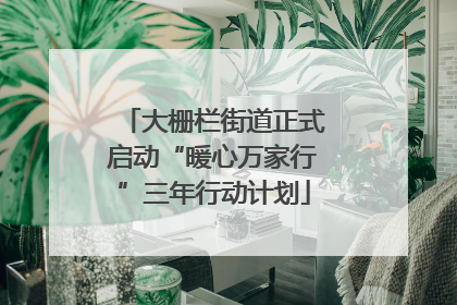 大栅栏街道正式启动“暖心万家行”三年行动计划
