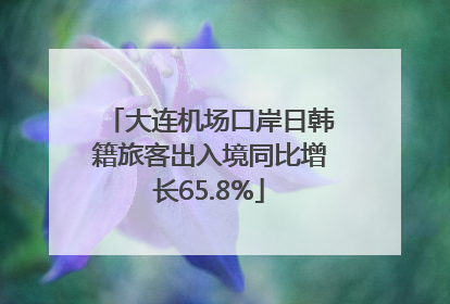 大连机场口岸日韩籍旅客出入境同比增长65.8%