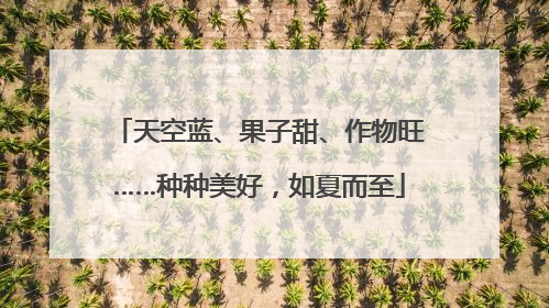 天空蓝、果子甜、作物旺……种种美好，如夏而至