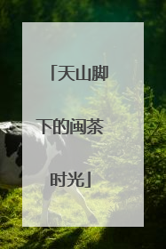 天山脚下的闽茶时光