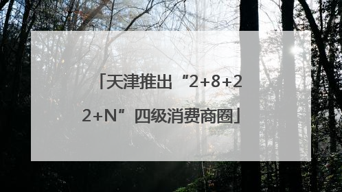 天津推出“2+8+22+N”四级消费商圈