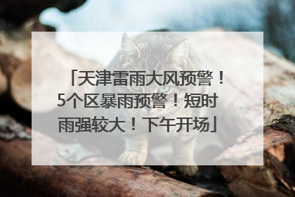 天津雷雨大风预警！5个区暴雨预警！短时雨强较大！下午开场