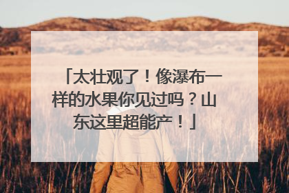 太壮观了！像瀑布一样的水果你见过吗？山东这里超能产！