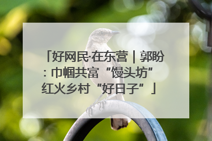 好网民·在东营｜郭盼：巾帼共富“馒头坊” 红火乡村“好日子”