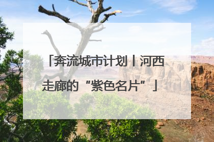 奔流城市计划丨河西走廊的“紫色名片”