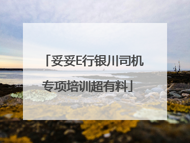 妥妥E行银川司机专项培训超有料