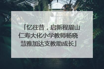 忆往昔，启新程眉山仁寿大化小学教师杨晓慧雅加达支教助成长