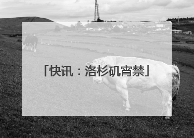 快讯：洛杉矶宵禁